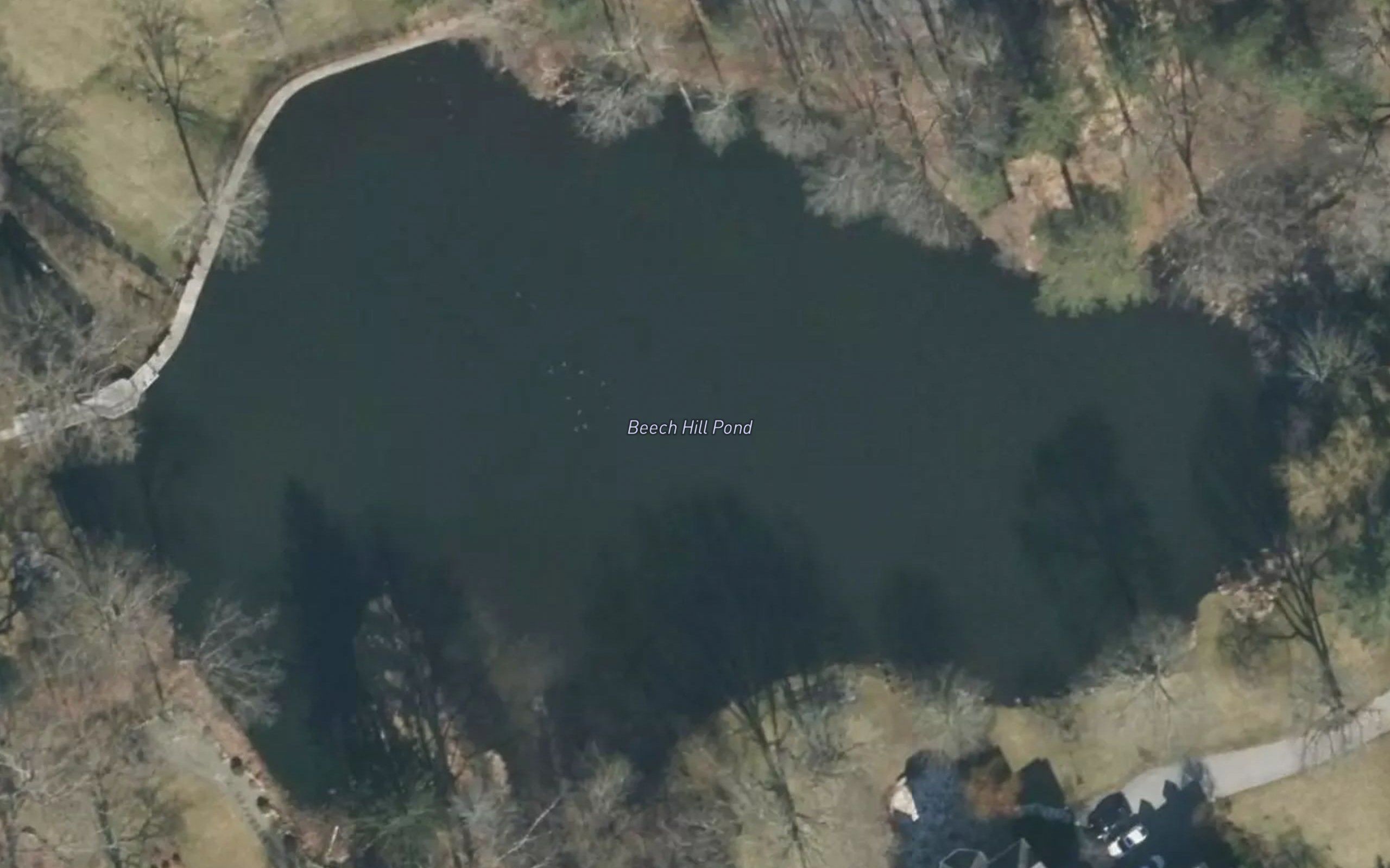 Beech Hill Pond