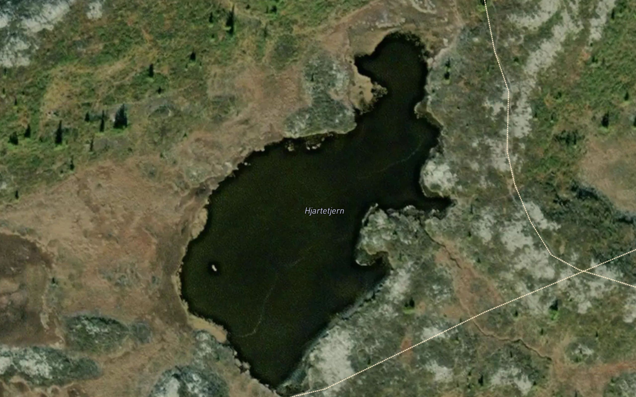 Hjartetjernet