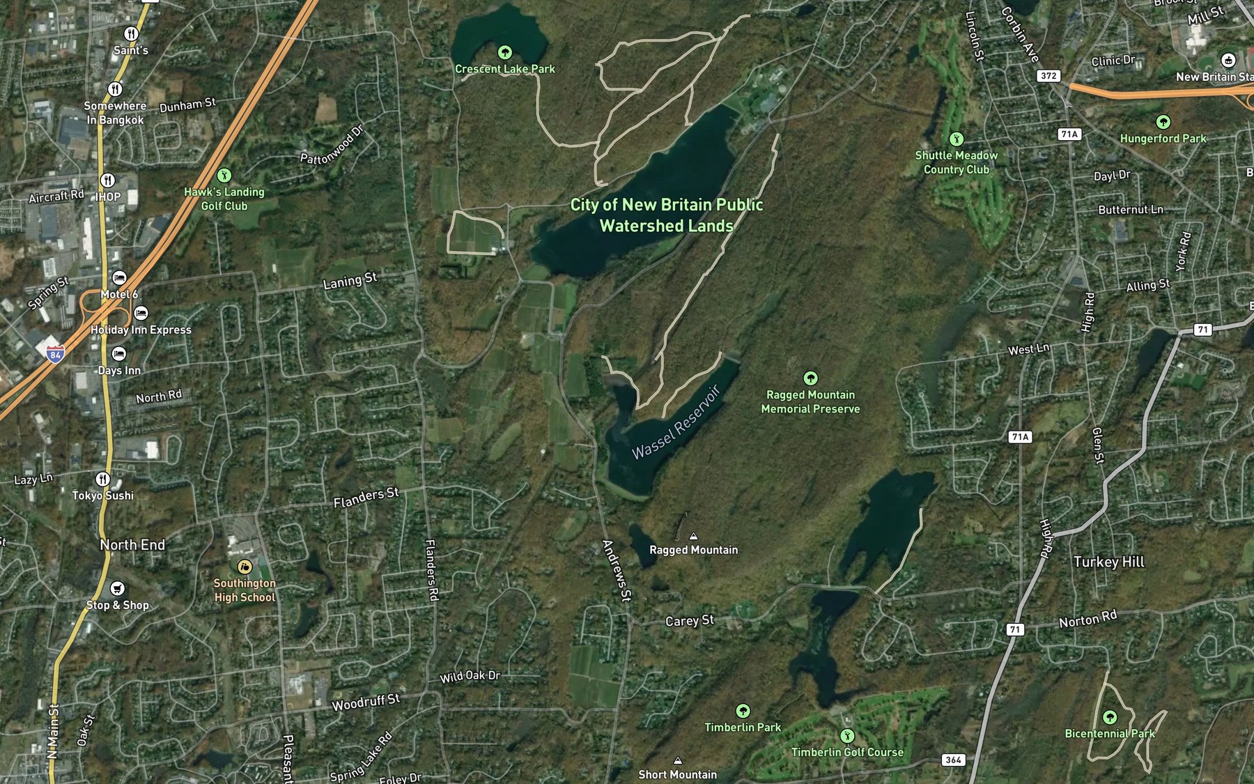 Satellite map of the Wasel Reservoir