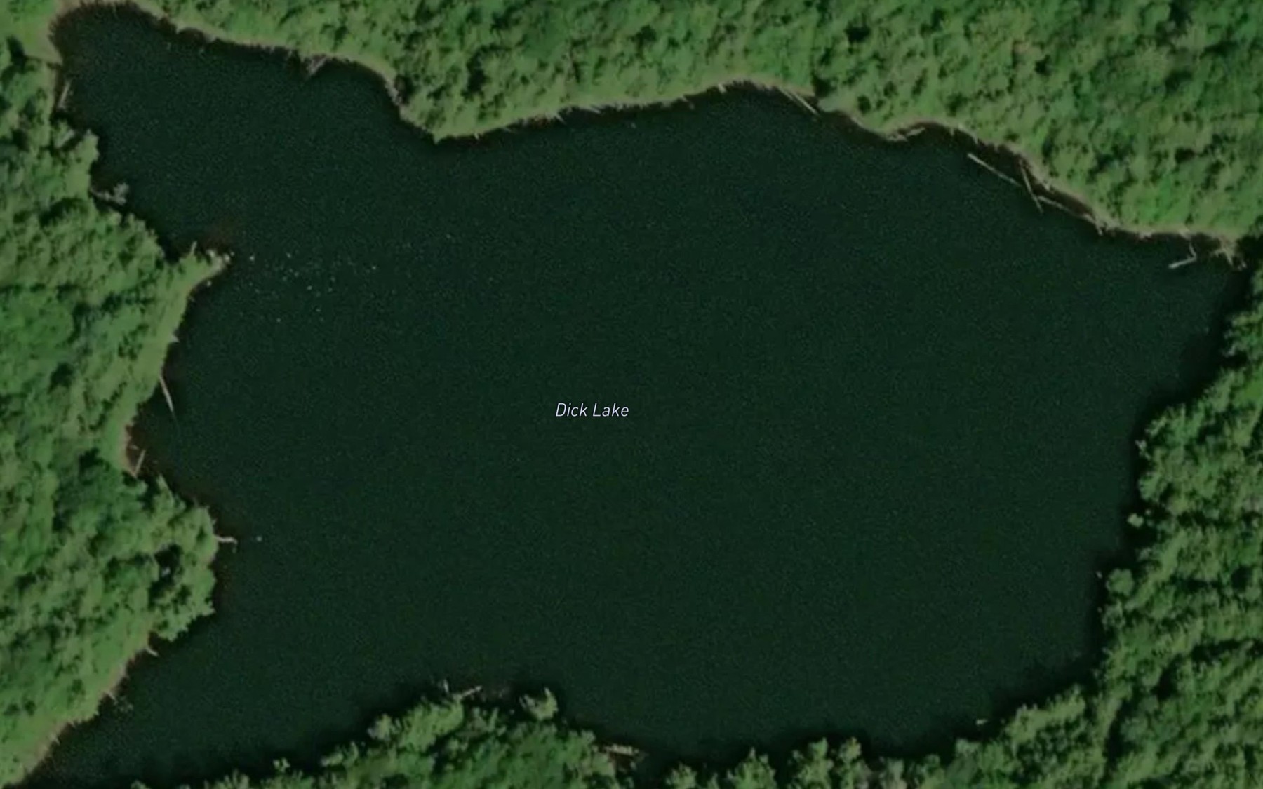 Satellite map of the Dick Lake