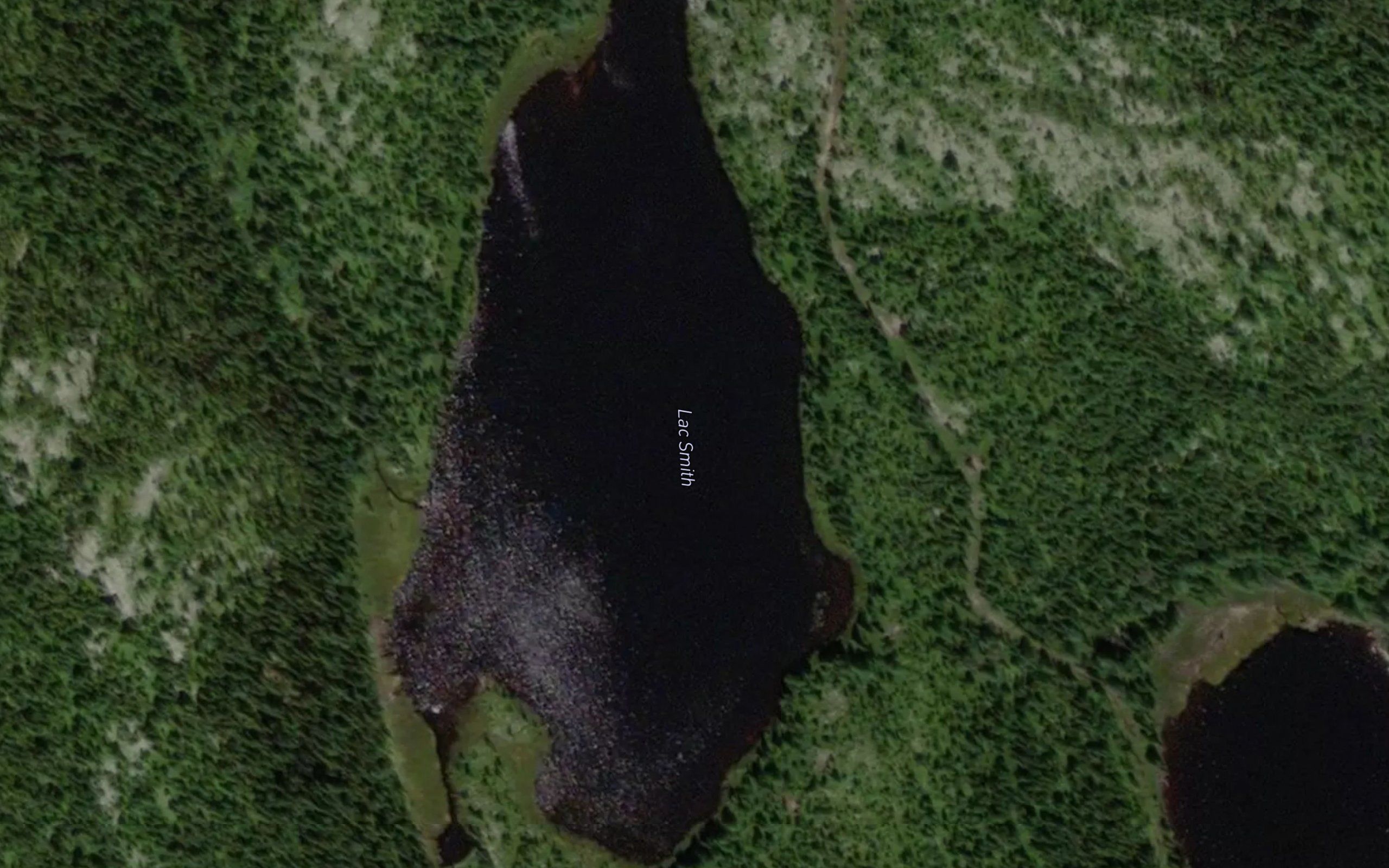 Lac Smith