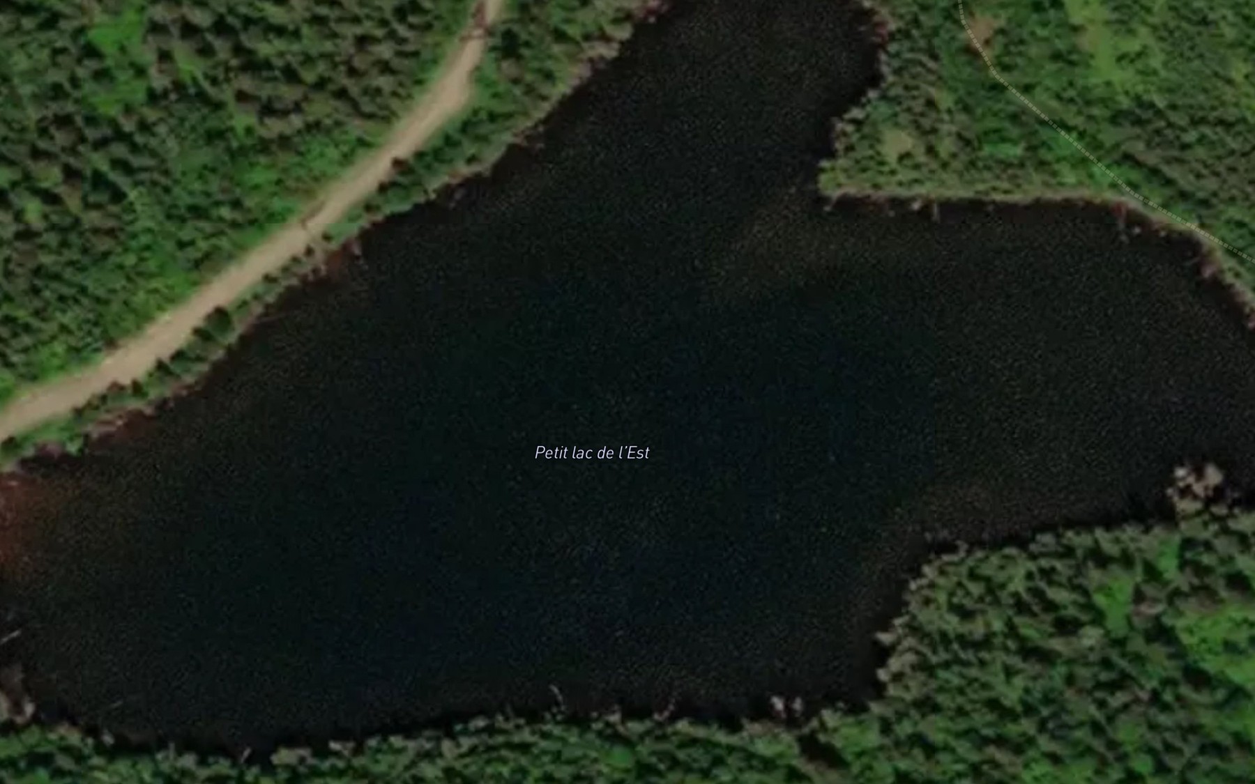Satellite map of the Petit lac de l'Est