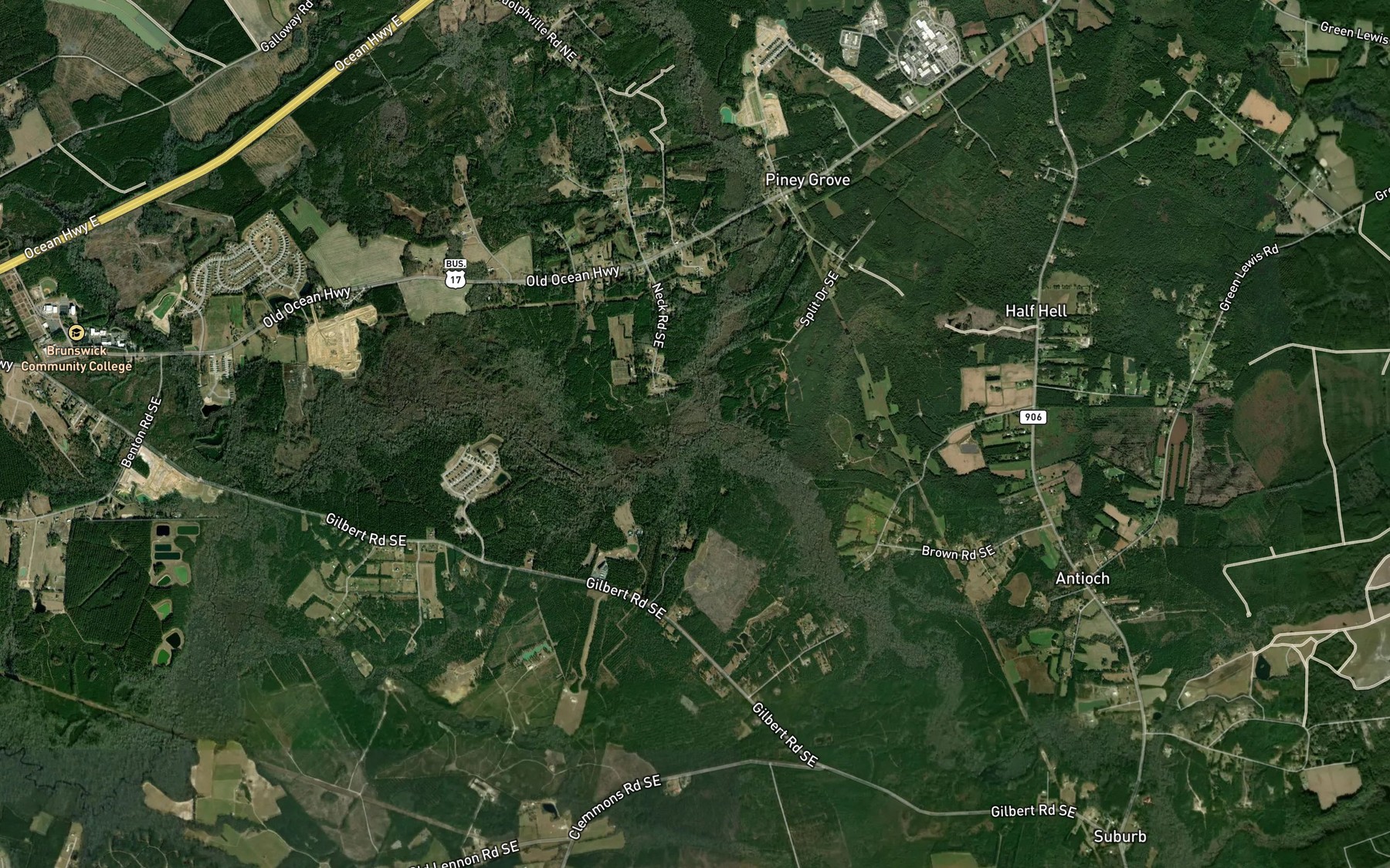 Satellite map of the River Swamp