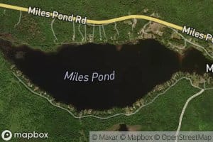 Miles Pond