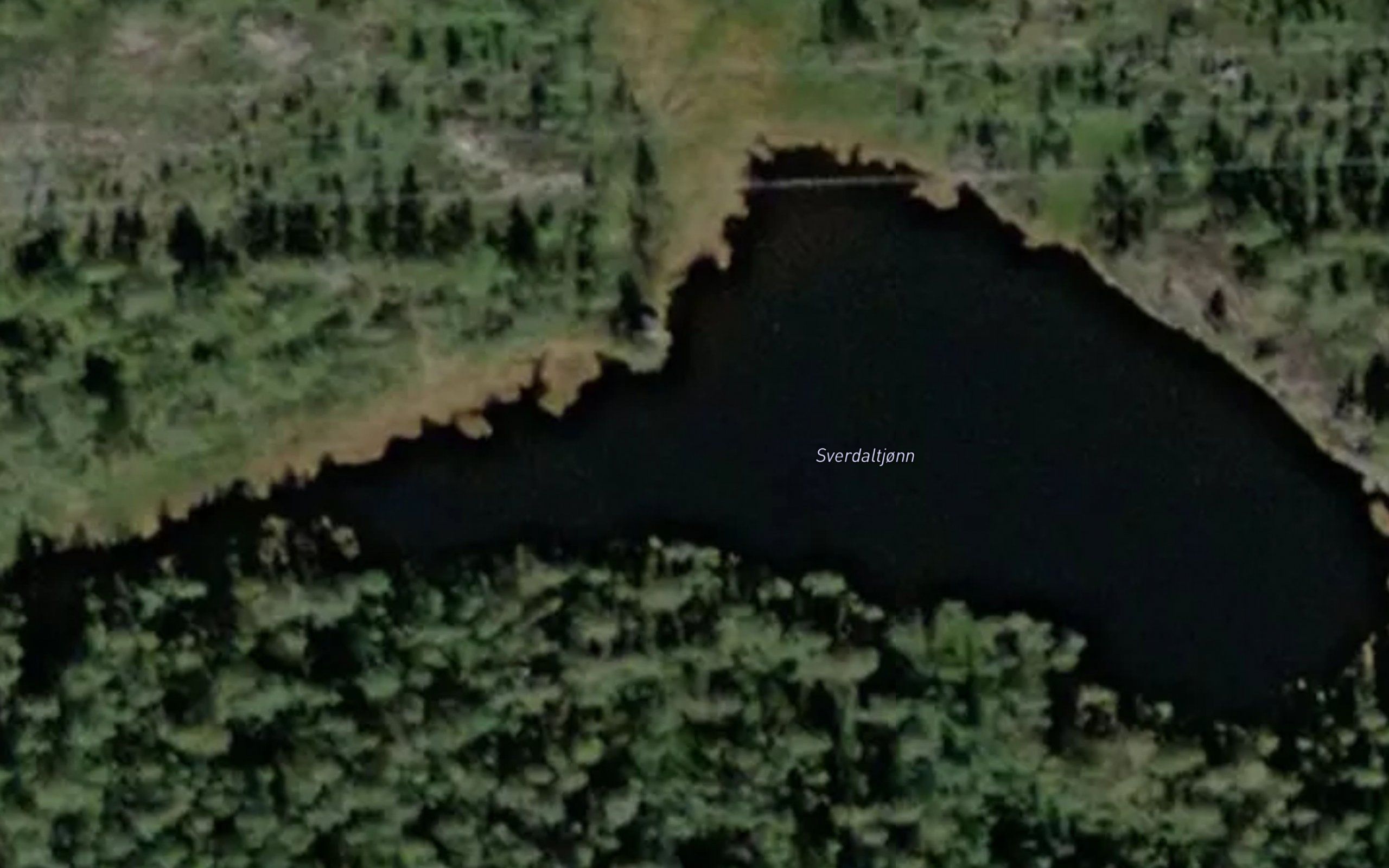 Sverdaltjonn