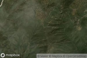 Apple Orchard Spring