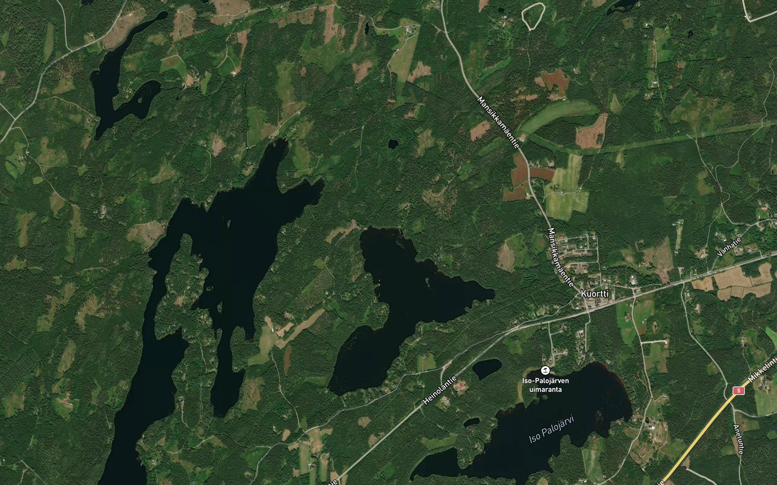Palolahti