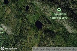 Bukketjorn