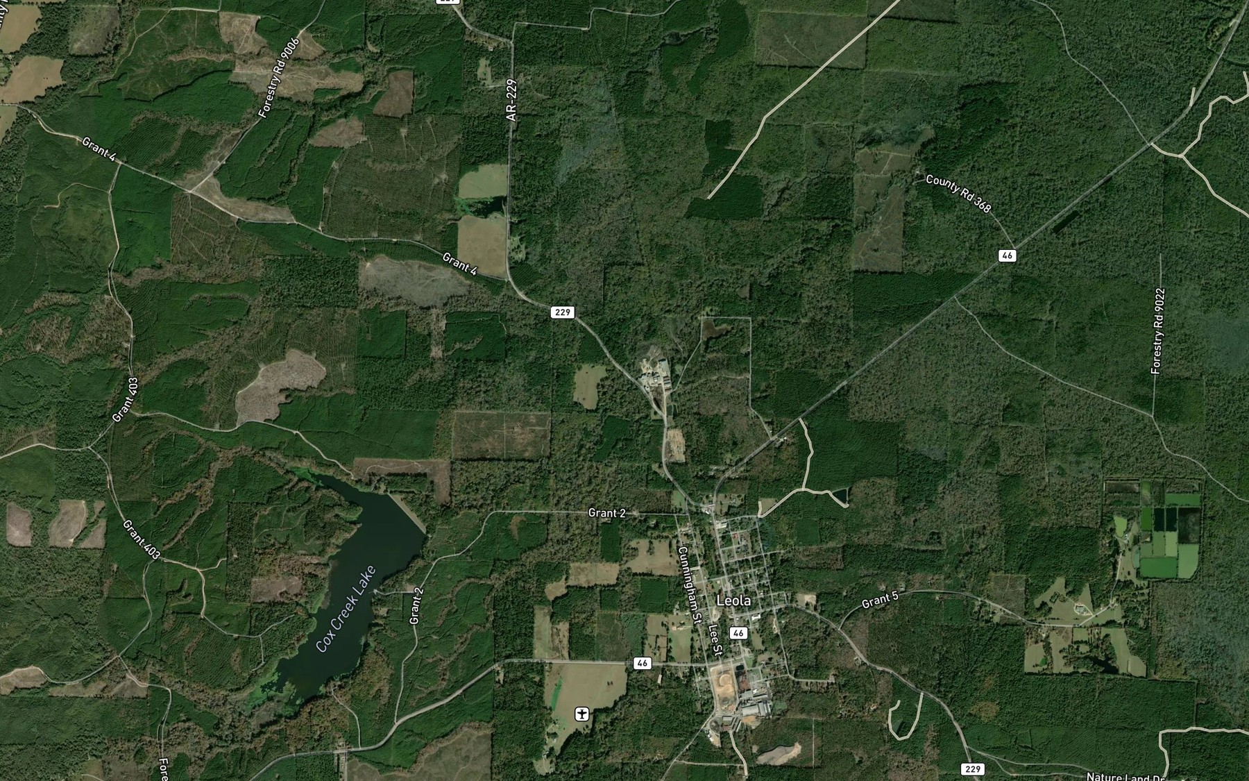 Satellite map of the Guesses Creek
