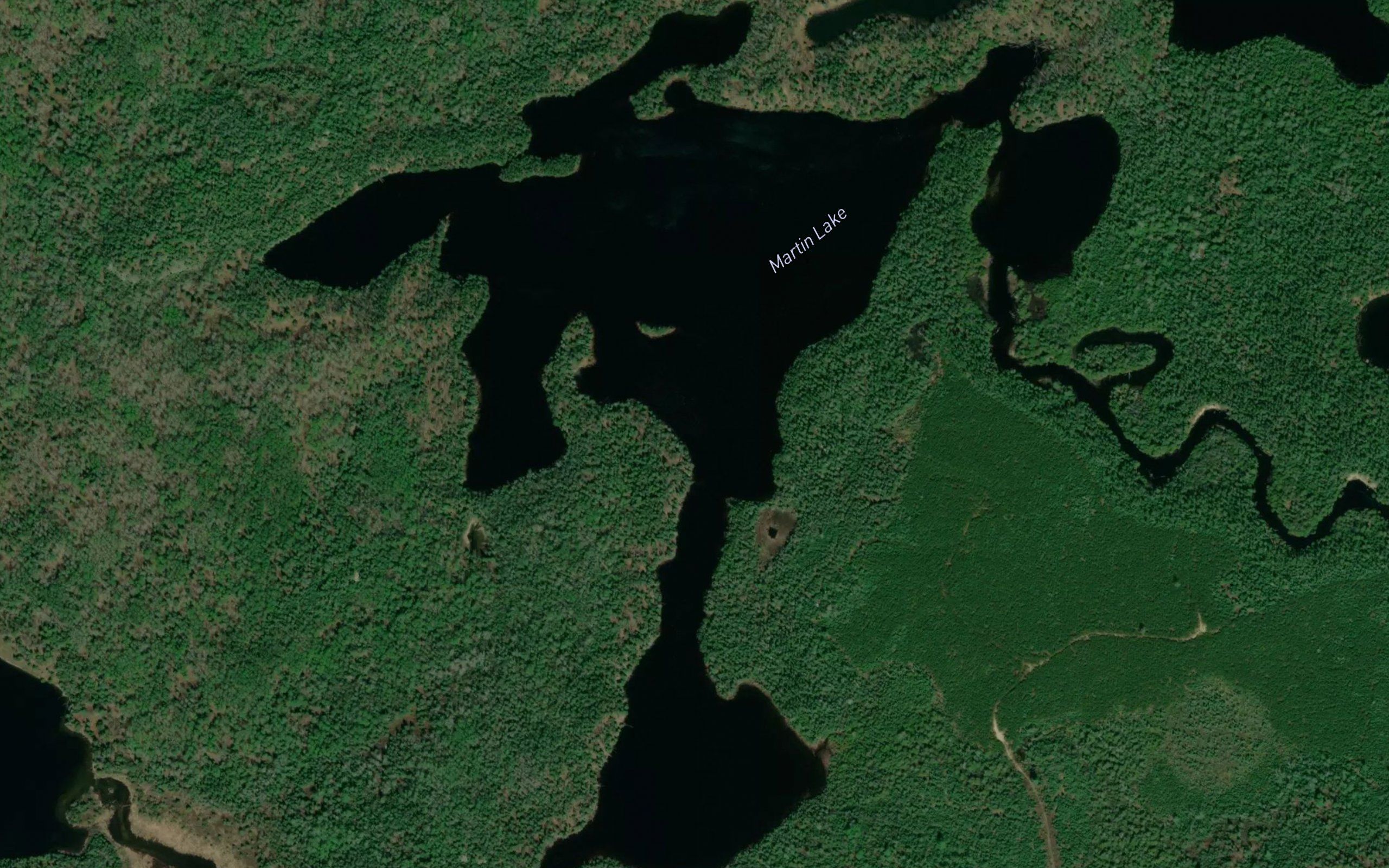 Martin Lake