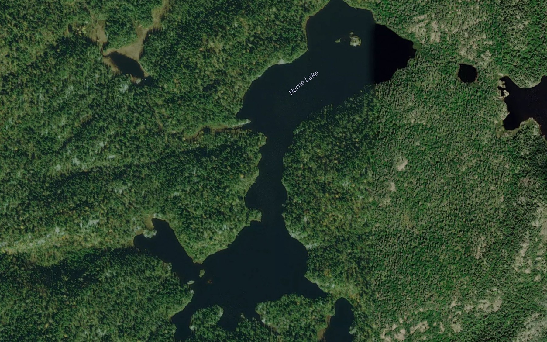 Satellite map of the Horne Lake