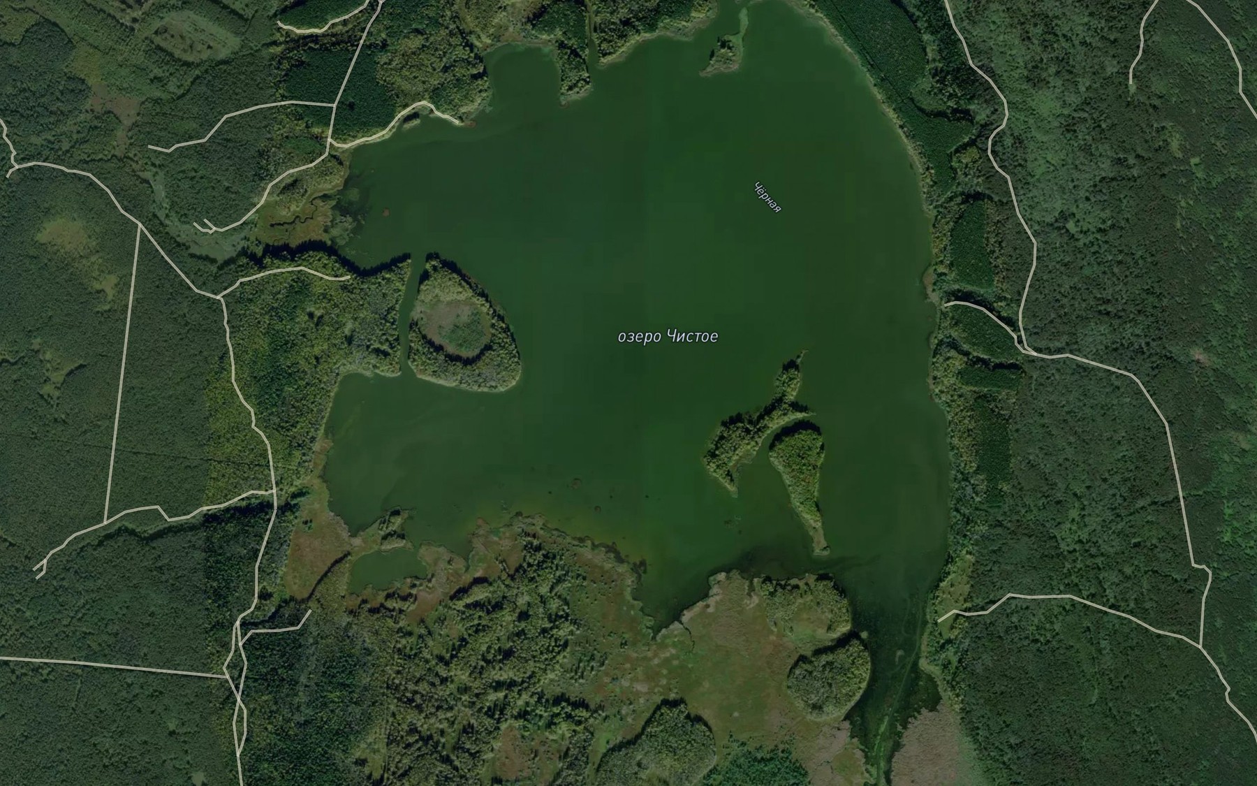Satellite map of the Ozero Chistoye