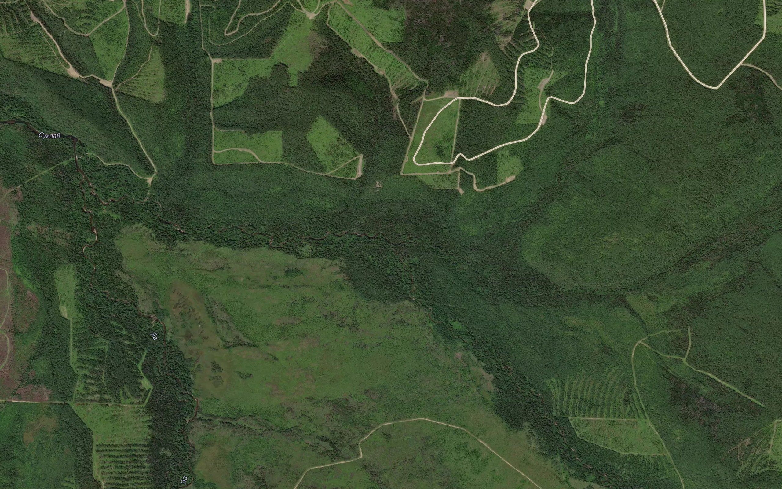 Kolu