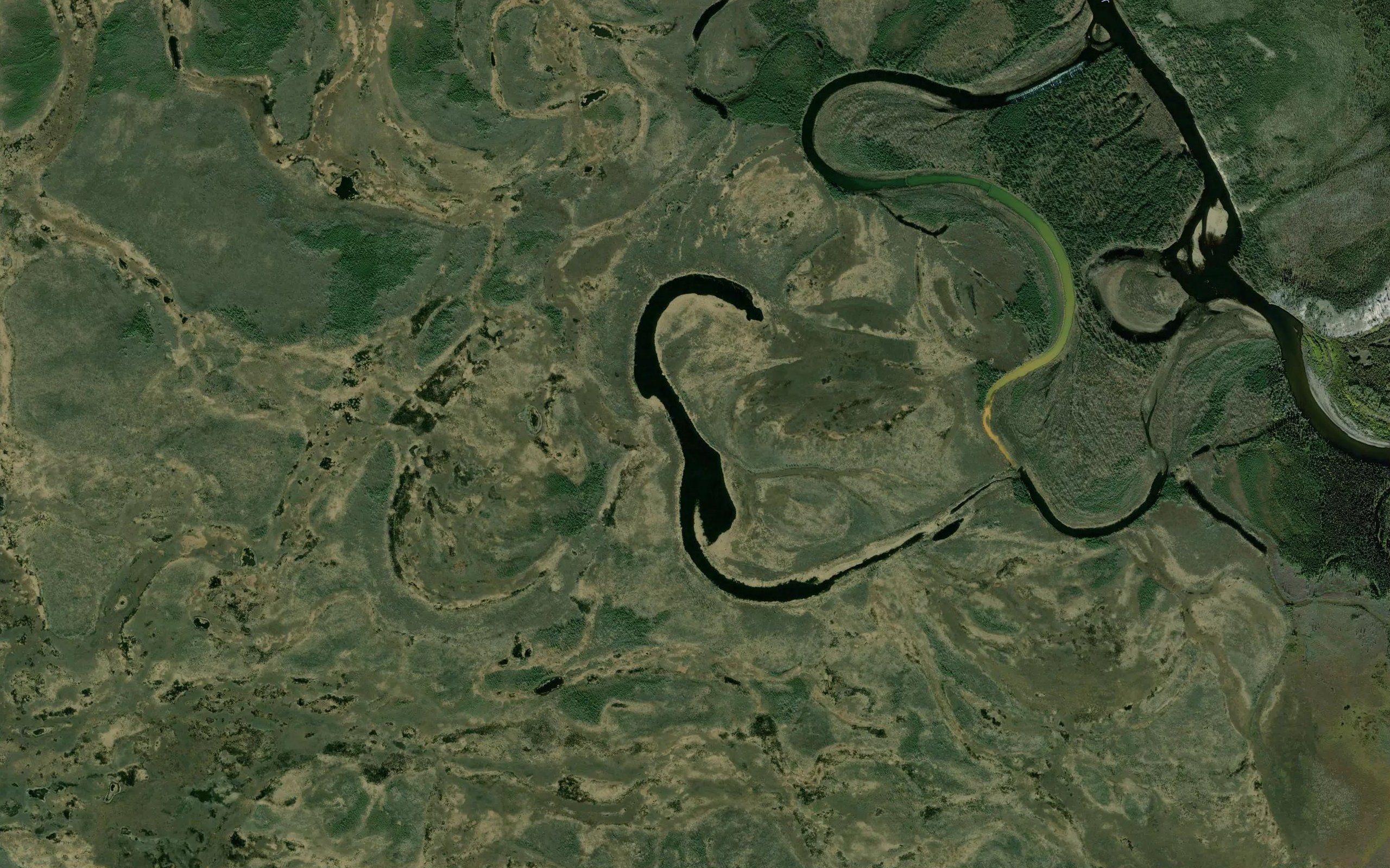 Salmon Slough