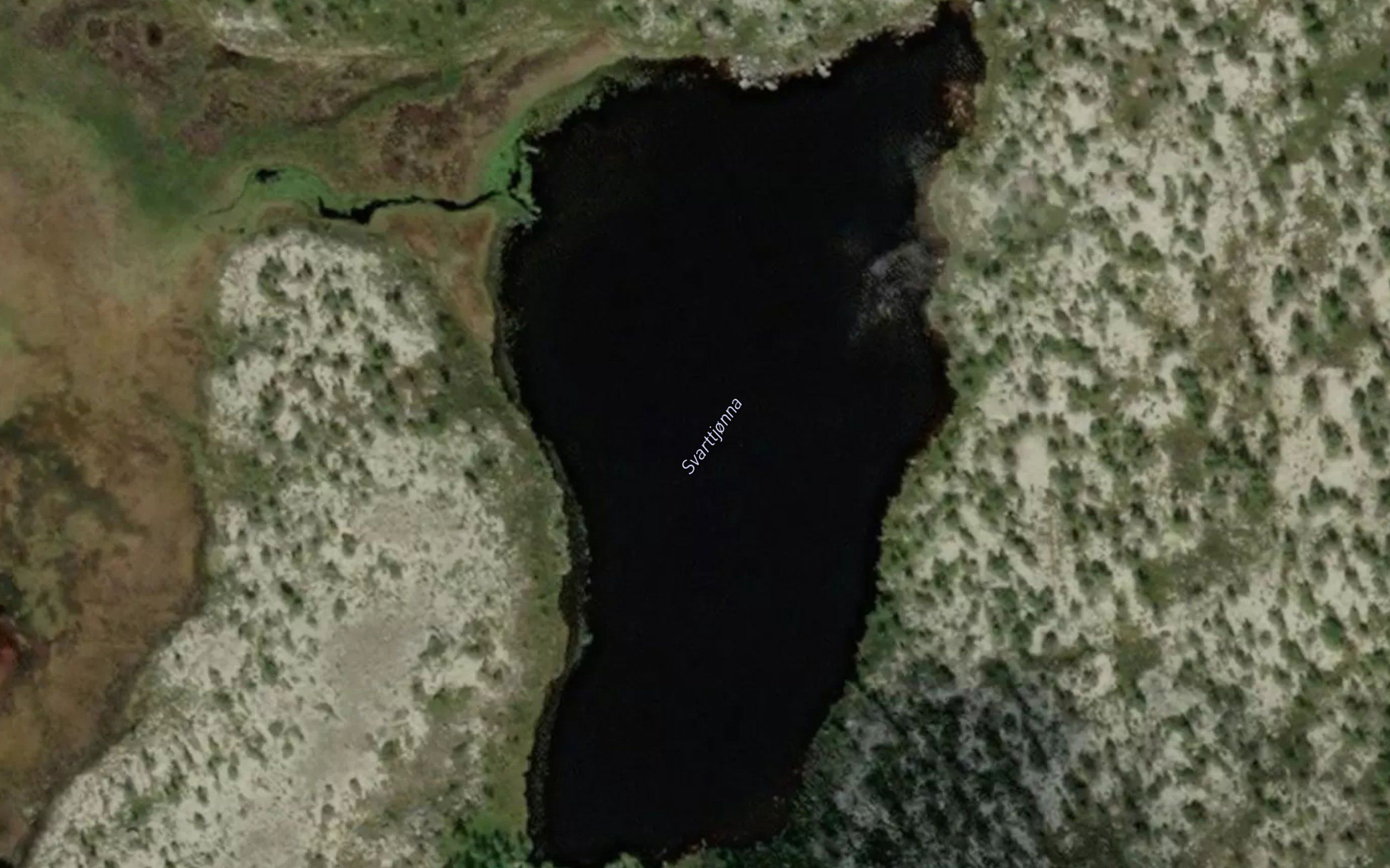 Svarttjorna