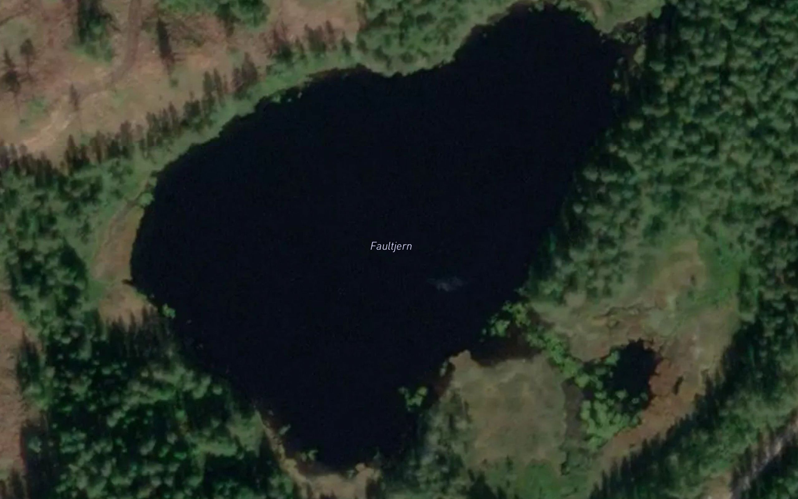 Fugltjerna