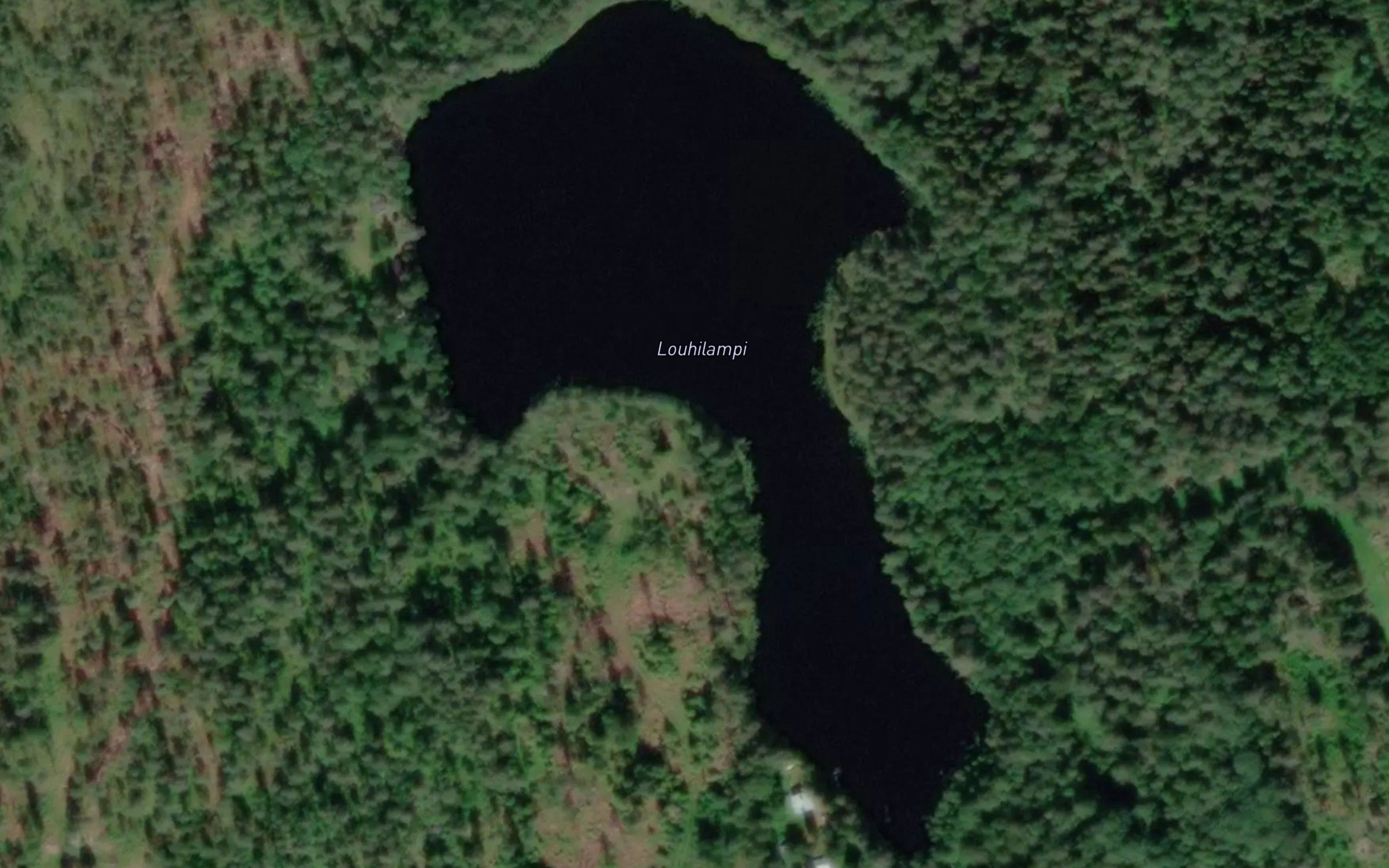 Louhilampi