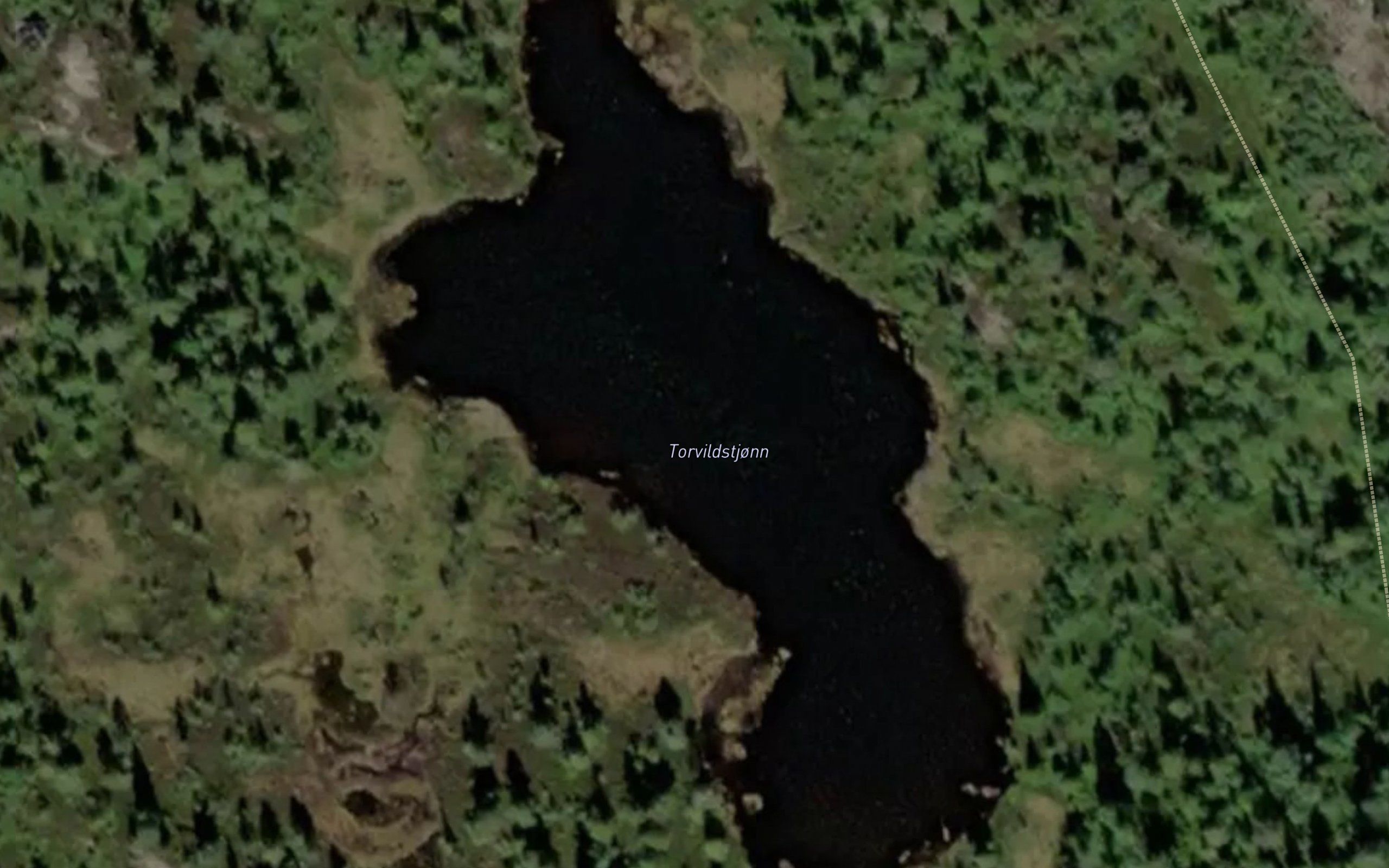 Torvildstjonn