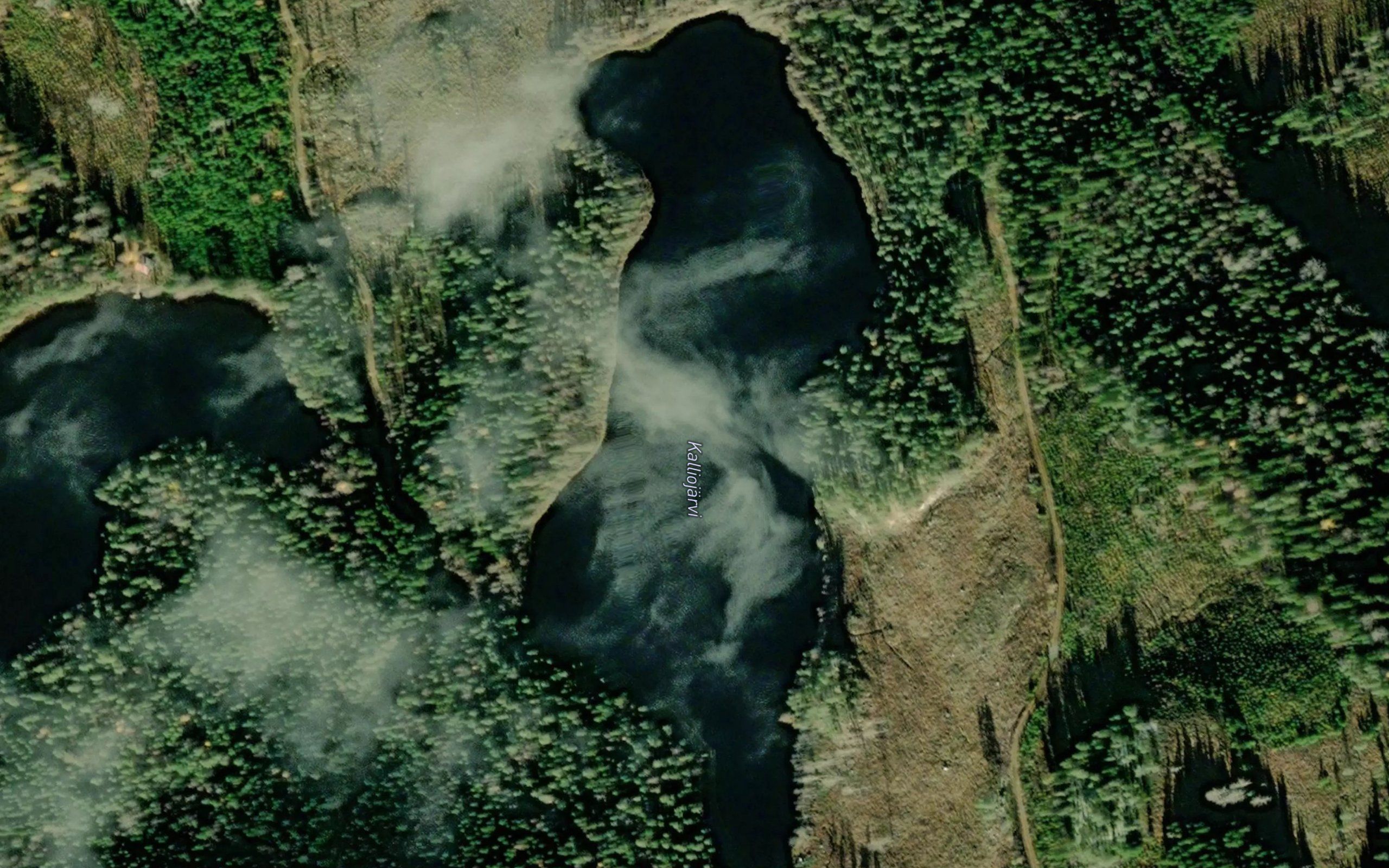 Kalliojarvi