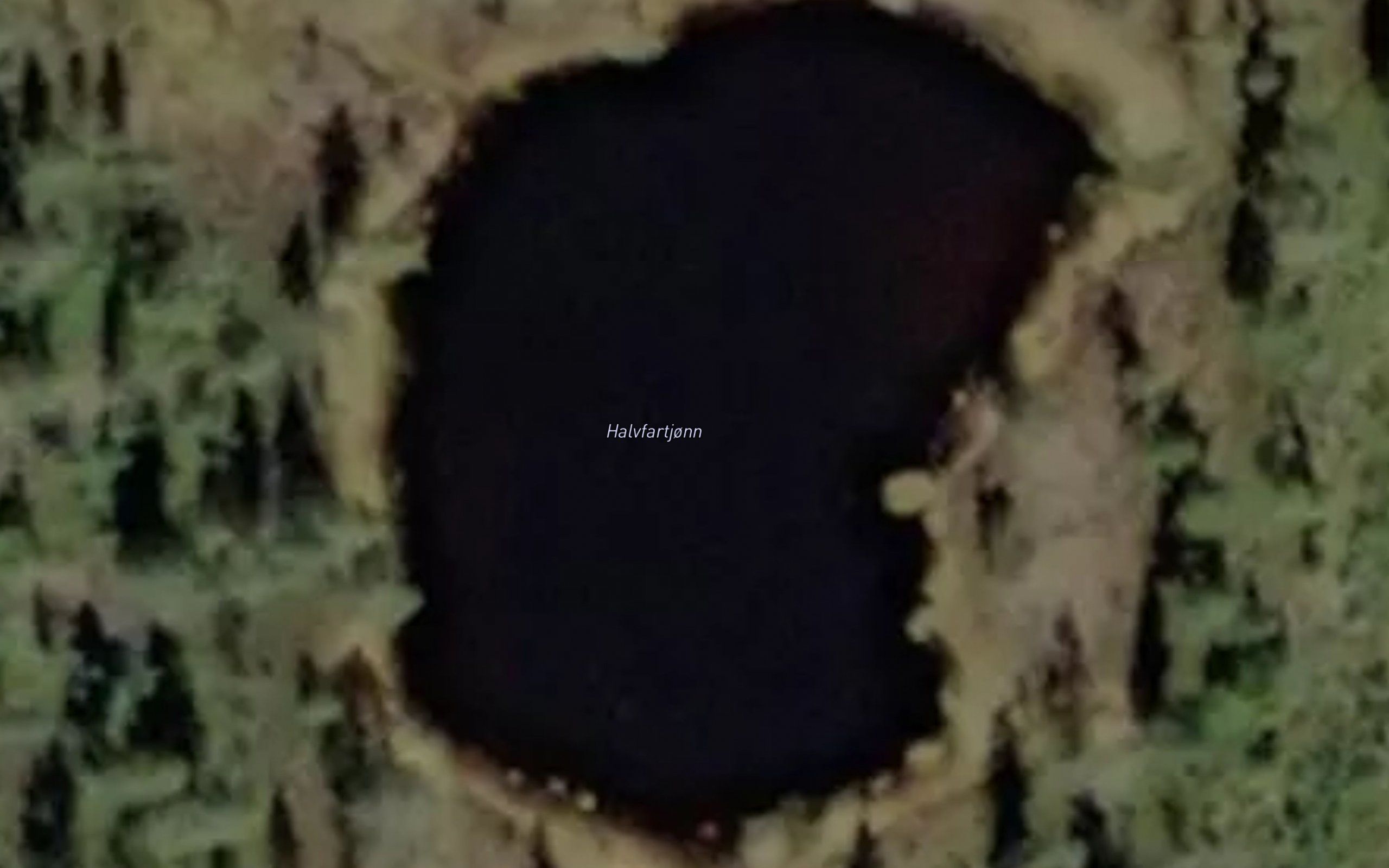 Halvfartjonn