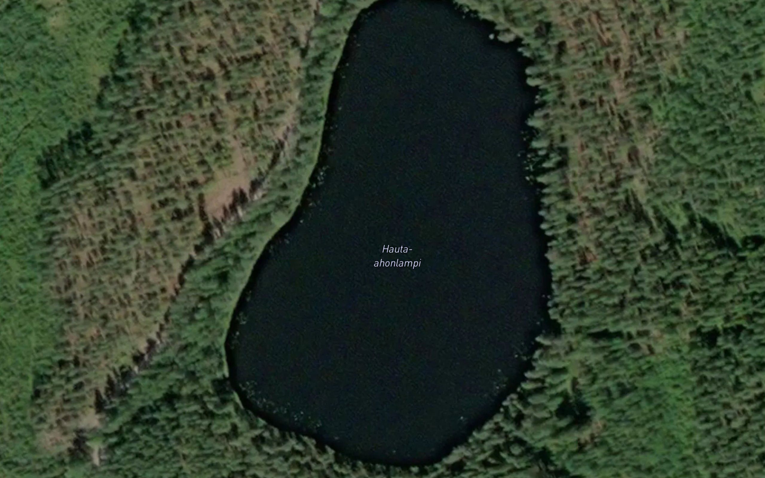 Hauta-ahonlampi