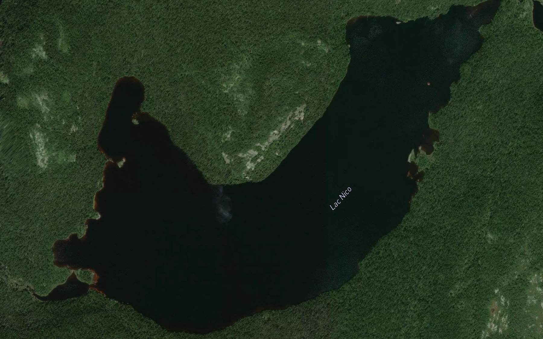 Satellite map of the Lac Nico