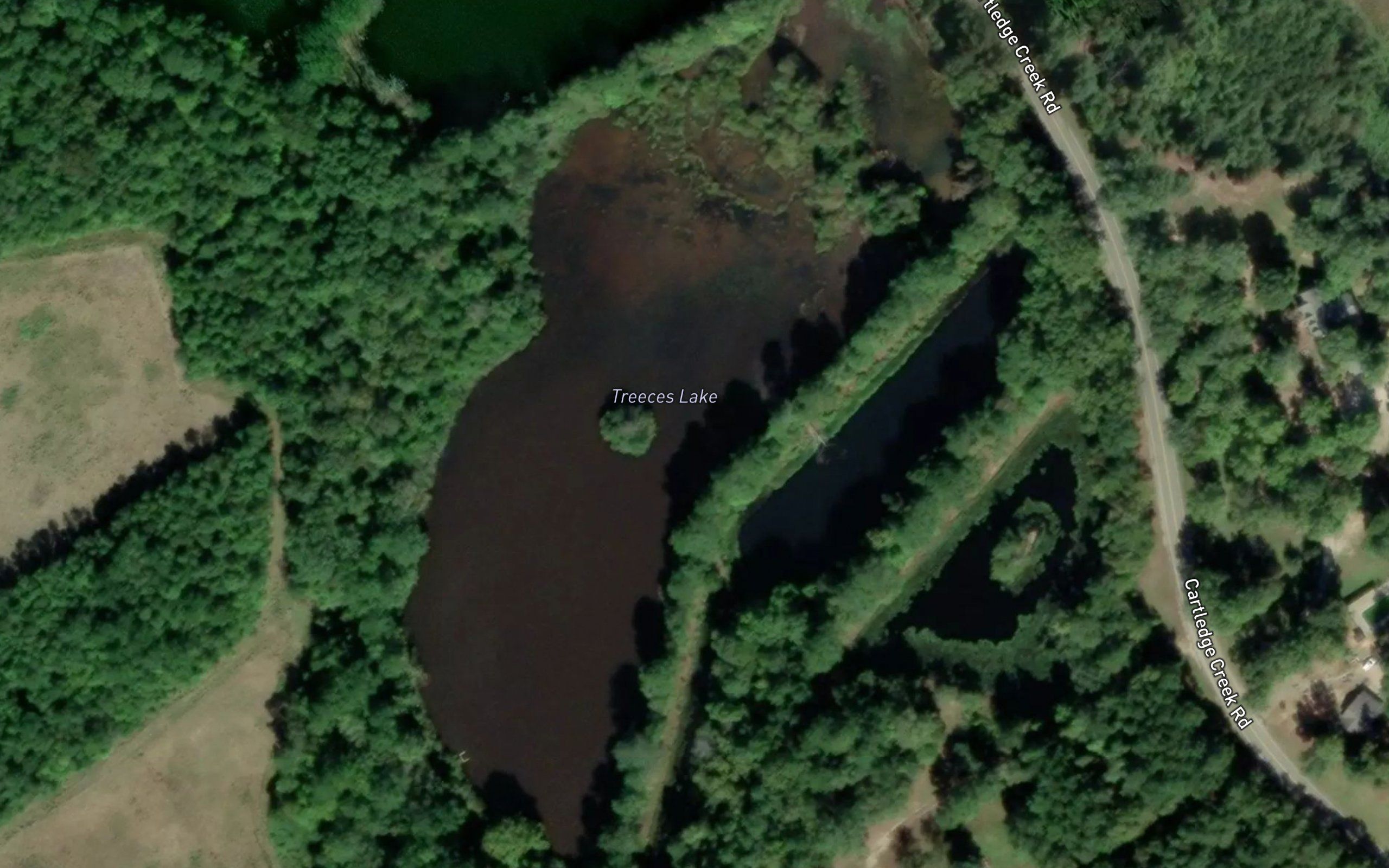 Treeces Lake