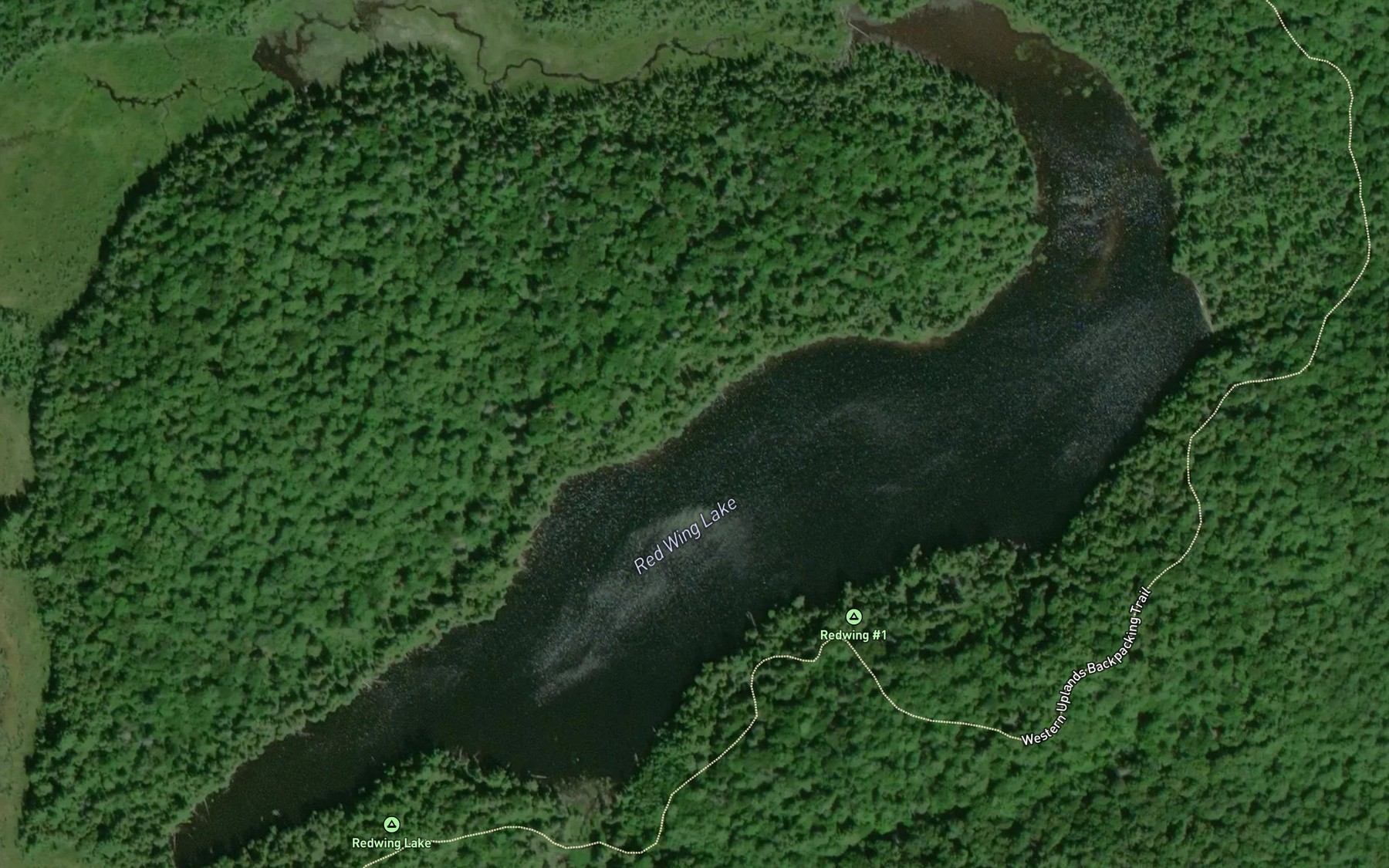 Satellite map of the Red Wing Lake