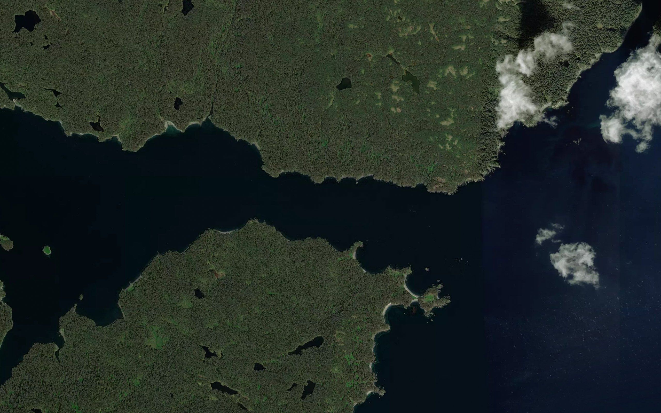 Cape Current Narrow