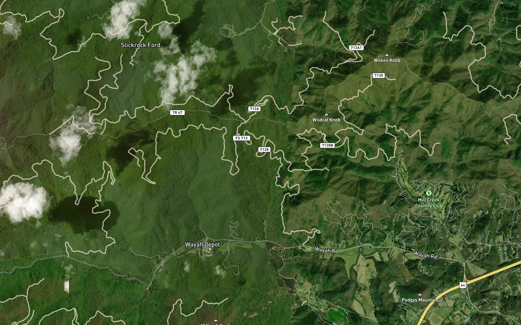 Satellite map of the Shingletree Branch