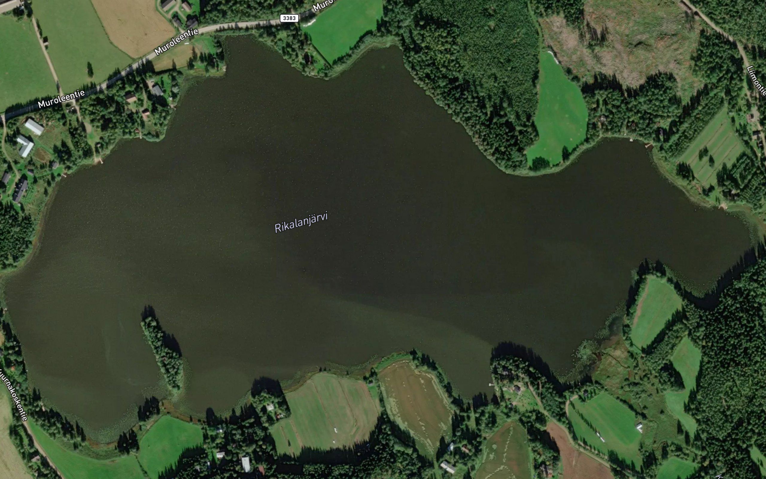 Rikalanjarvi
