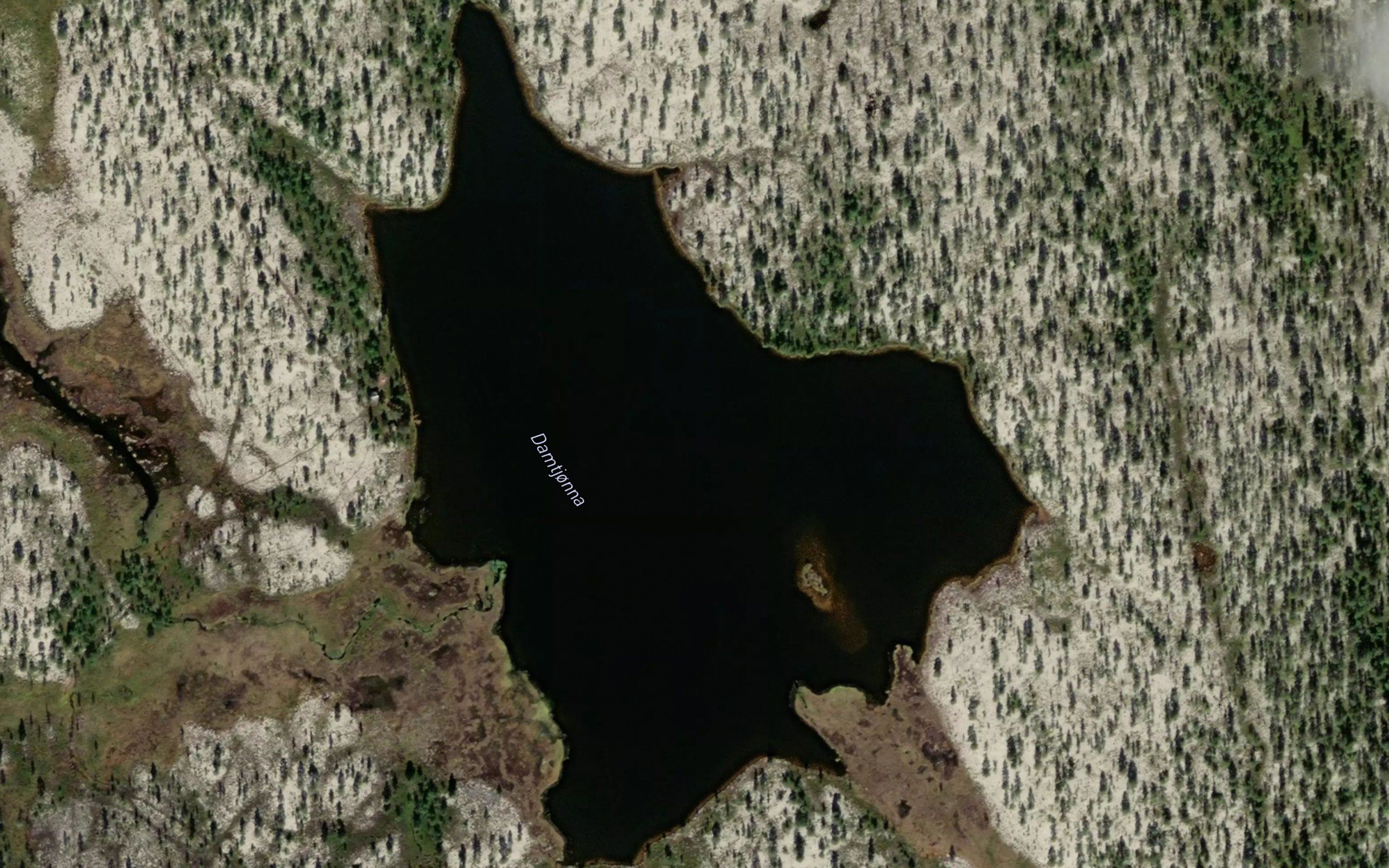 Damtjorna