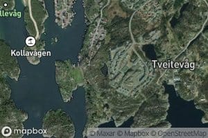 Kobbetjorna