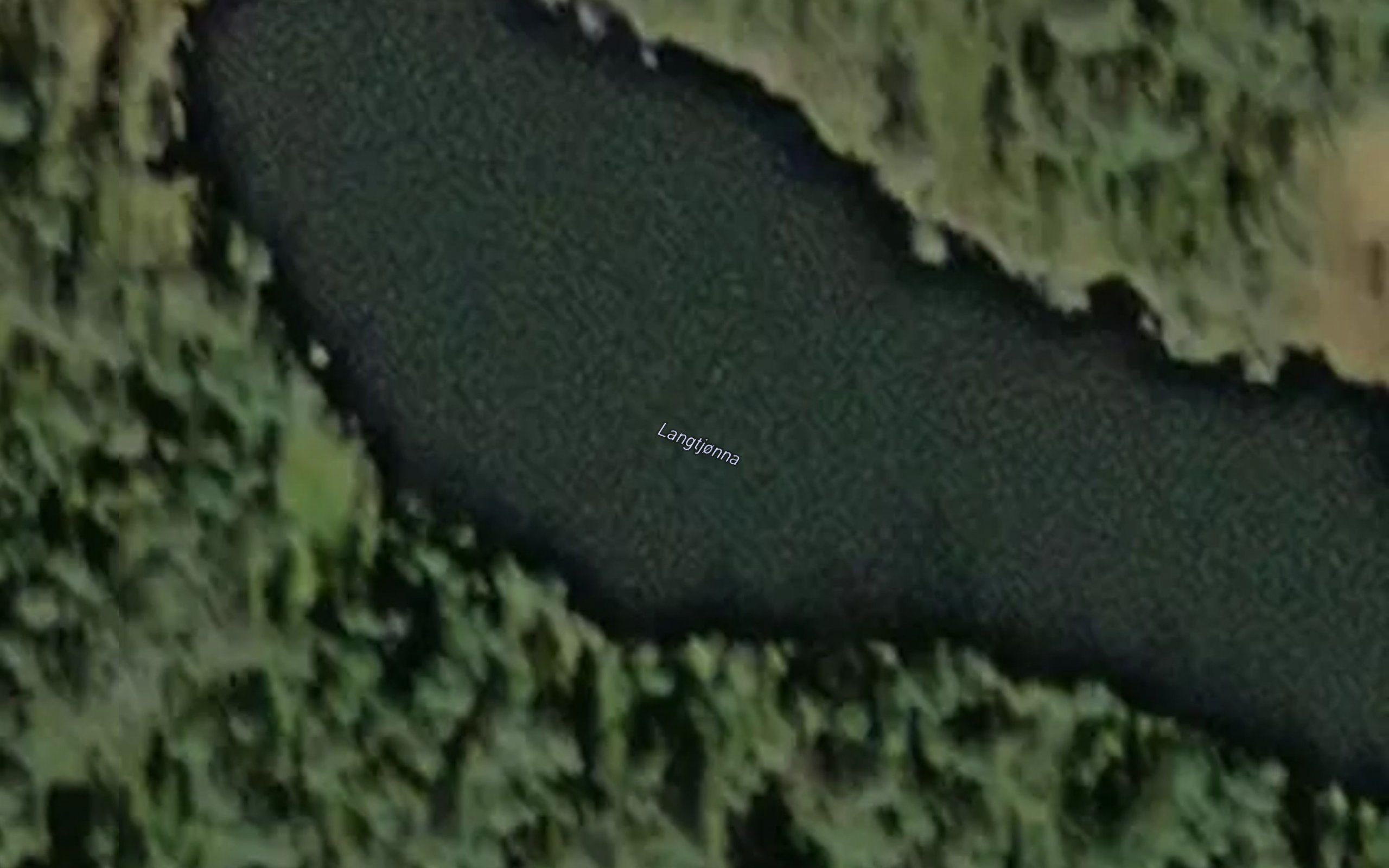 Langtjorna