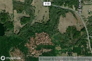 Chinquapin Creek
