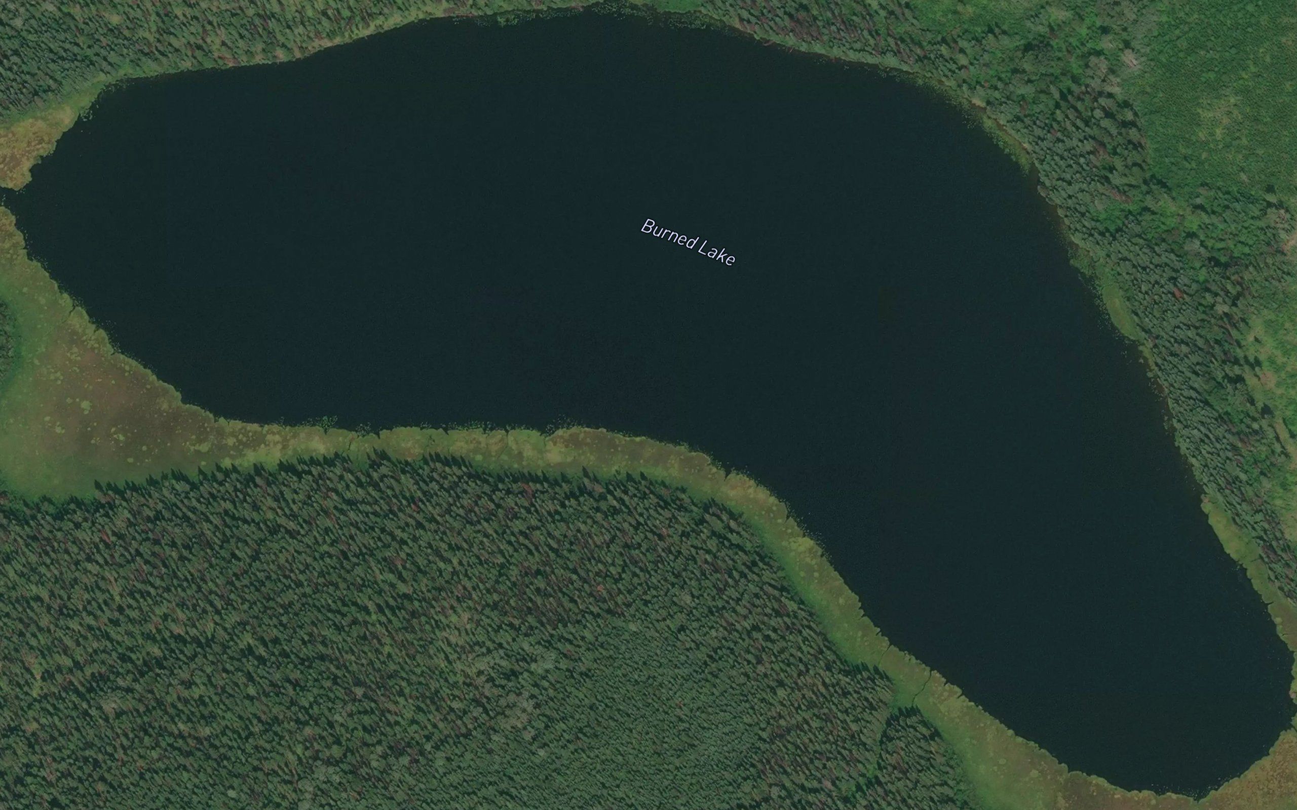 Burned Lake
