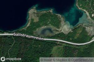 Satellite map of the Forroytjonna