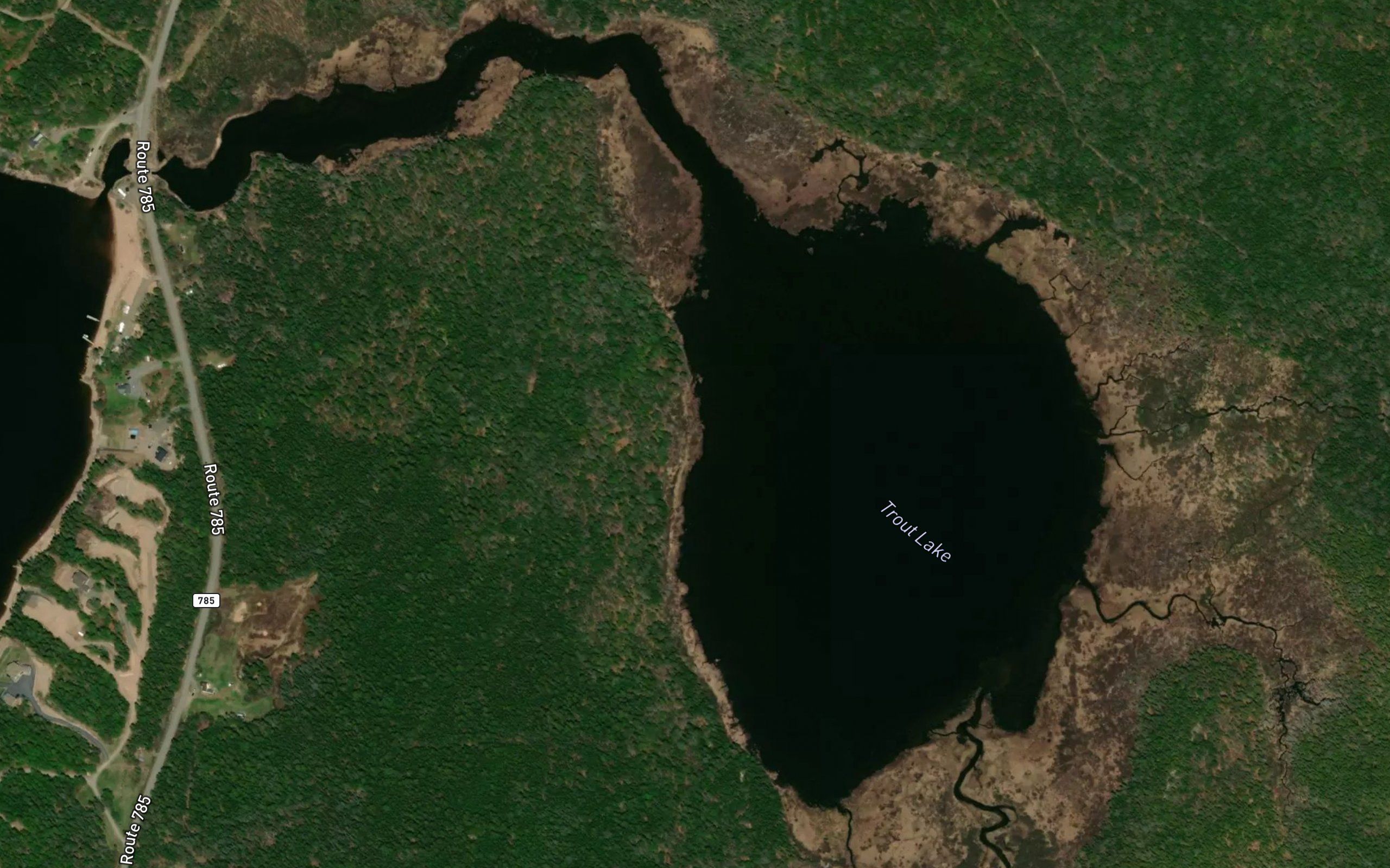 Trout Lake