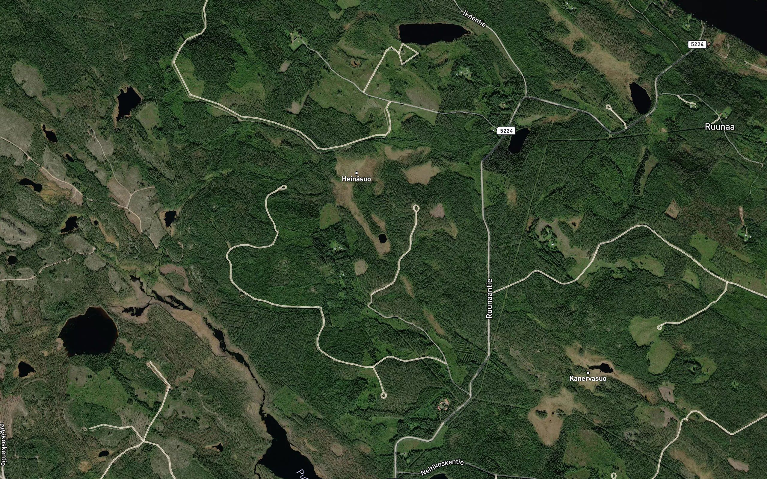 Heinalampi
