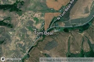 South Fork Tom Beall Creek