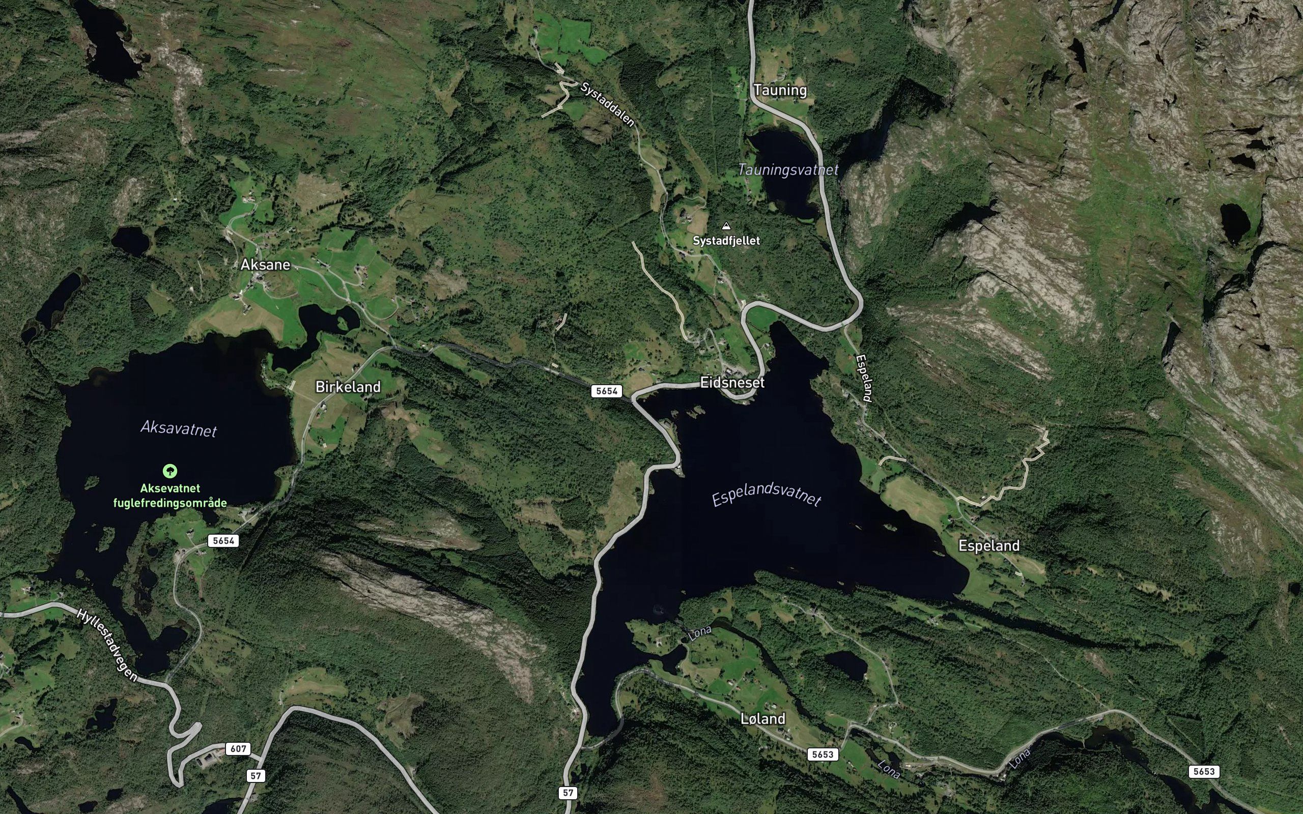Eidevika