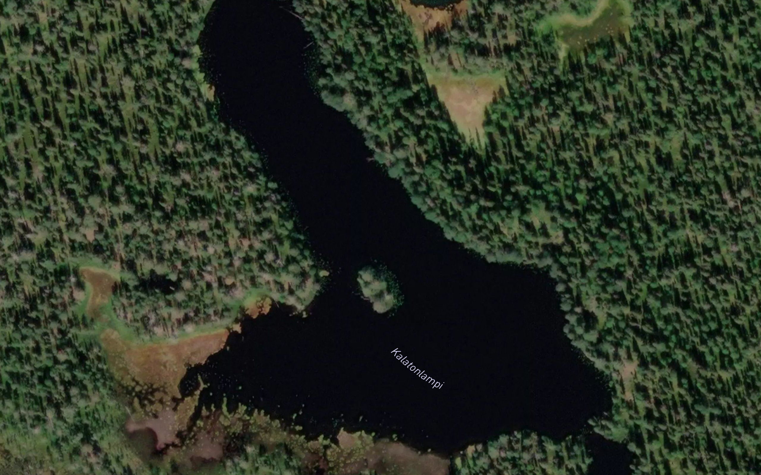 Kalatonlampi