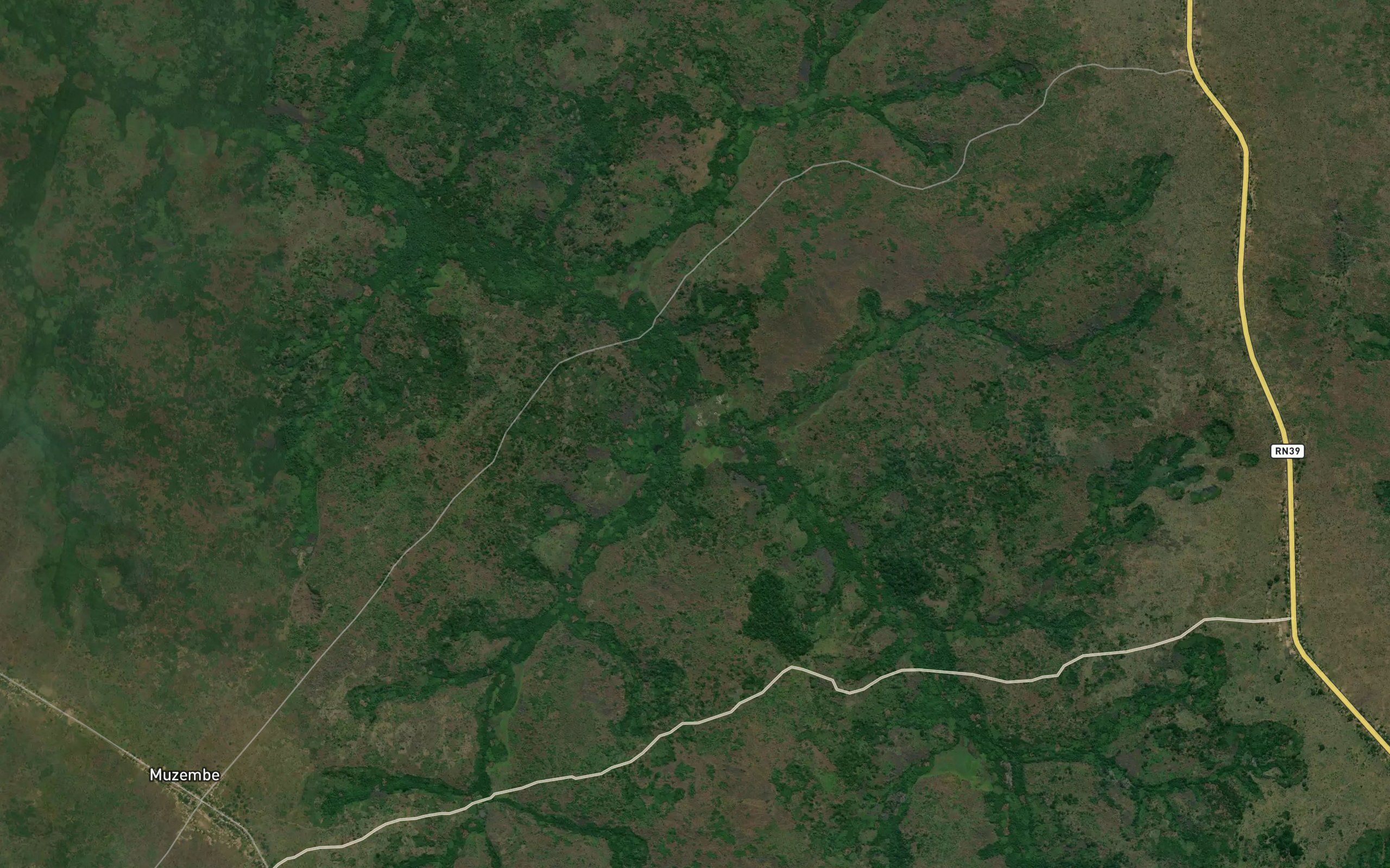 Kasangulo