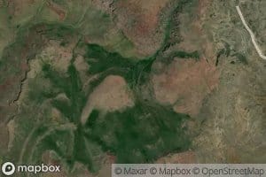 Shearing Corral Spring