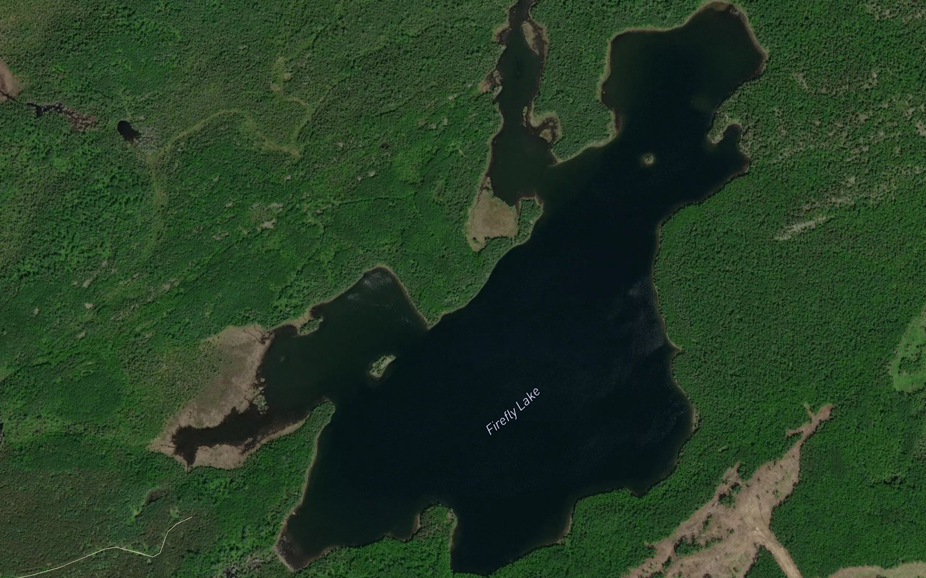 Satellite map of the Firefly Lake