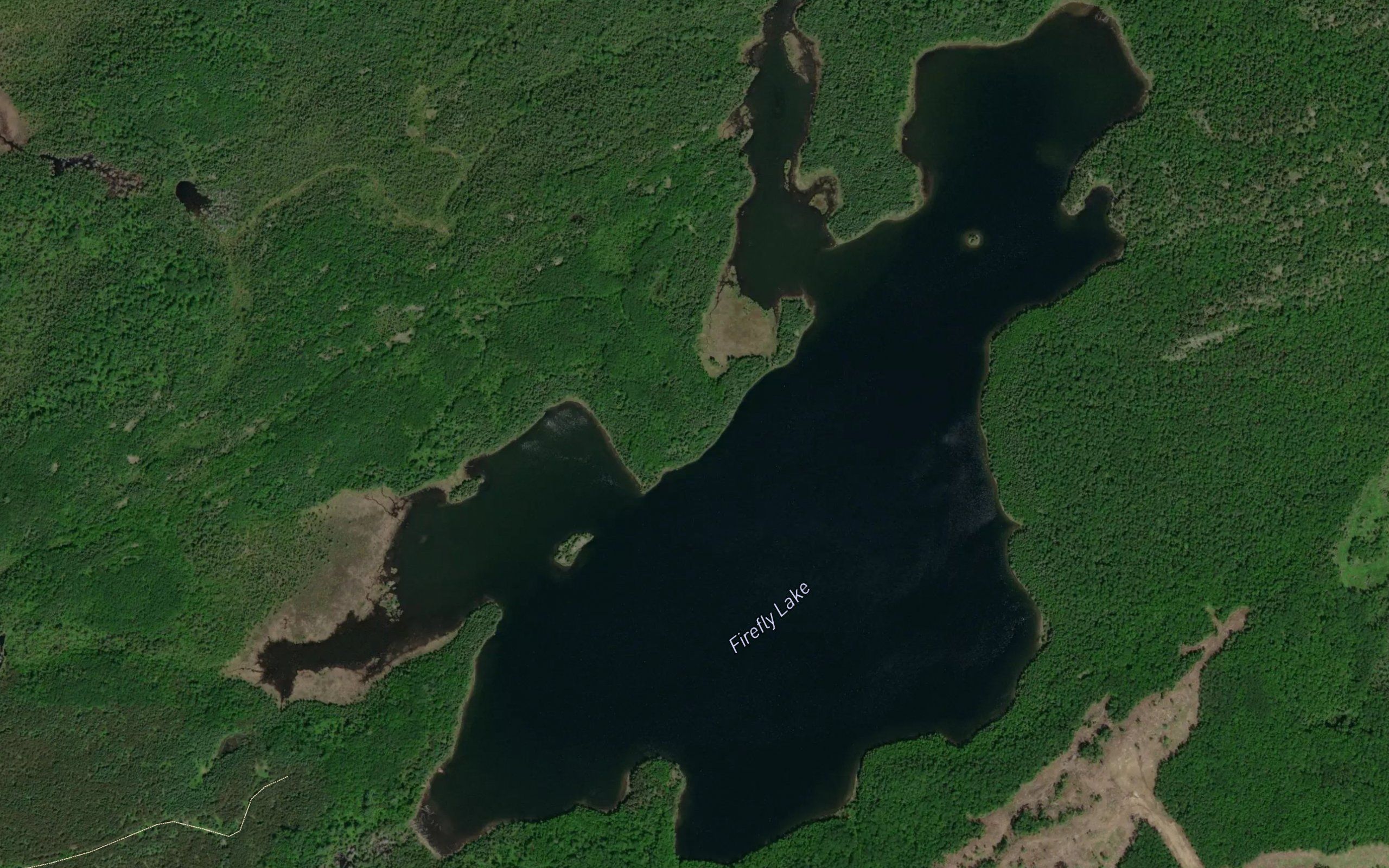 Firefly Lake