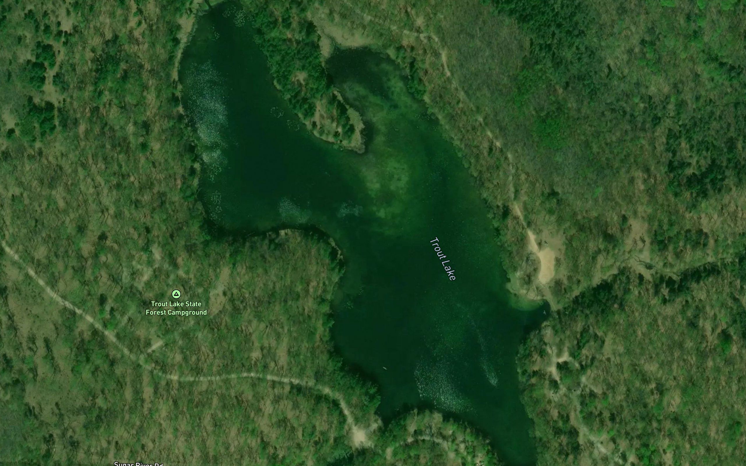 Trout Lake