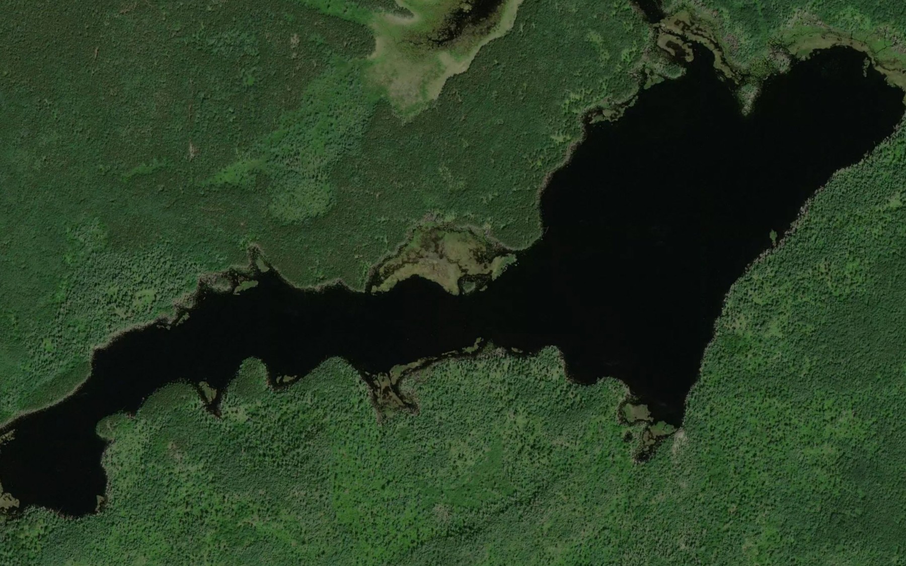 Satellite map of the Iris Lake