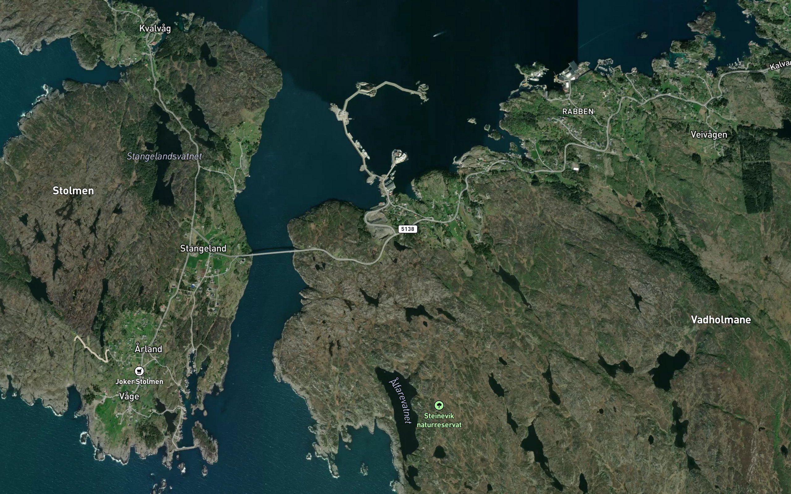 Monstjern