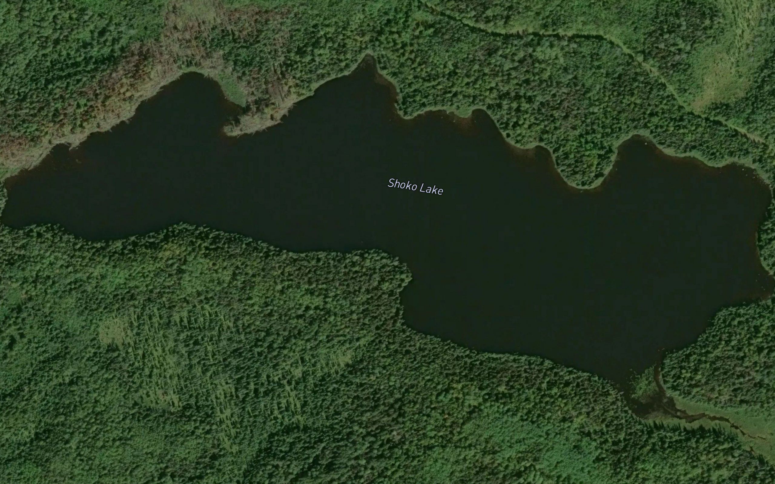 Shoko Lake